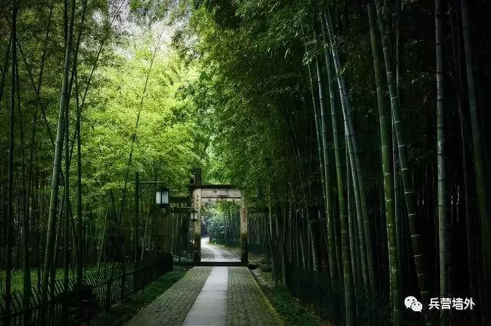 dvubb 按此在新窗口浏览图片