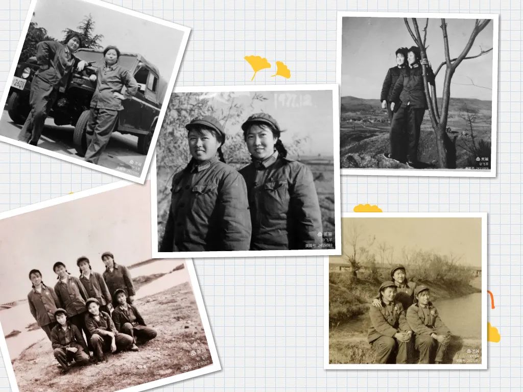dvubb 按此在新窗口浏览图片