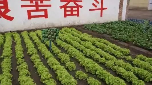 dvubb 按此在新窗口浏览图片